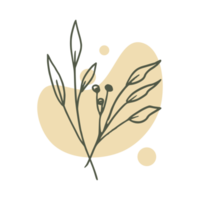 Hand drawn leaf with an aesthetic shape or aesthetic blob simple decoration png