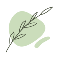 Hand drawn leaf with an aesthetic shape or aesthetic blob simple decoration png