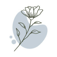 Hand drawn leaf with an aesthetic shape or aesthetic blob simple decoration png