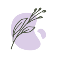 Hand drawn leaf with an aesthetic shape or aesthetic blob simple decoration png