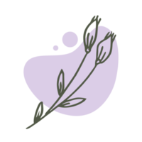 Hand drawn leaf with an aesthetic shape or aesthetic blob simple decoration png