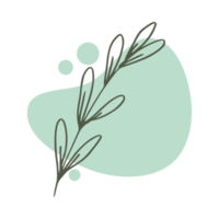 Hand drawn leaf with an aesthetic shape or aesthetic blob simple decoration png