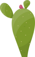 Cartoon desert cactus plant png