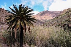 Scenic rural landscape photo