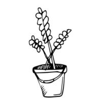 Flowers in pots painted black line on a white background. Vector drawing lines