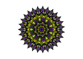 Mandala circular design. Round ethnic mandala with floral elements png