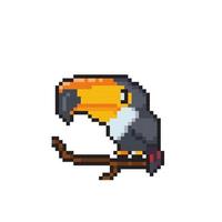 toucan bird in pixel art style vector