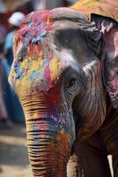 indio elefante con vistoso pintar durante holi foto