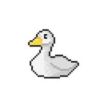 white goose in pixel art style vector