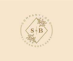 initial SB letters Beautiful floral feminine editable premade monoline logo suitable for spa salon skin hair beauty boutique and cosmetic company. vector