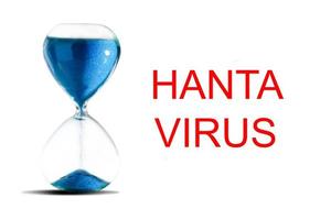 Text hantavirus. Emergency concept. Hanta virus, HPS virus infection pulmonary syndrome HPS. outbreak continues to spread outside China. photo