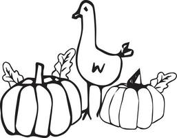 Duck line art. Goose with pumpkins vector. Pumpkin line art.. halloween pumpkin. vector