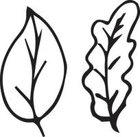 black and white leaves. Set line art. Vector illustration of autumn leaves.