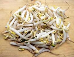 Sprouts on wooden board photo