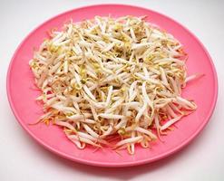 Sprouts on pink plate, isolated in white background photo