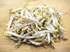 Sprouts on wooden board photo