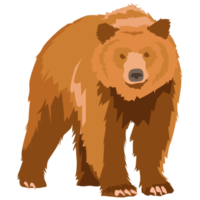 urso selvagem png