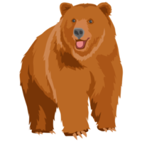 wild grizzly bear png