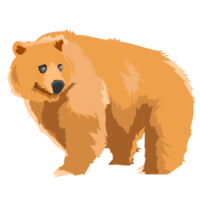 wild grizzly bear png