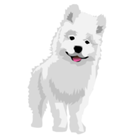 samoyed dog and puppy cute pet png