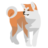 Shiba inu akita dog and puppy png