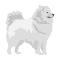 Samoyedo perro y perrito linda mascota png