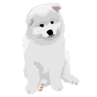 Samoyedo perro y perrito linda mascota png