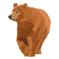 orso grizzly selvatico png