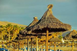 Beautiful beach on Tenerife photo