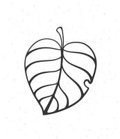 Outline doodle of tree leaf vector