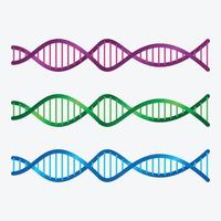Illustration of DNA with Different Colors Vector