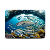 fish mural sea wallpaper png