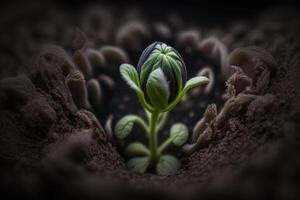 un verde brote emerge desde un semilla en el suelo generativo ai foto