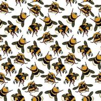 A pattern with an image from a honey bee. Fluffy bees, bumblebees in different poses fly on a white background. natural background with bees. Large and small insects. Printing on textiles and paper vector