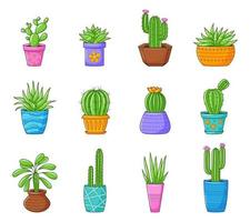 Set of funny cartoon cactus and succulents. Collection with different types of cacti and home plants. Color vector illustrations isolated on white background.