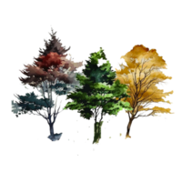 transparent tree picture png