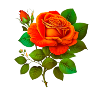 hand painted red rose flower png