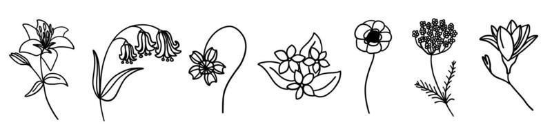 Flowers collection in outline doodle flat style. Set of simple floral element plant leaves decorative design. Hand drawn line art. For coloring. Vector illustration isolated on white background.