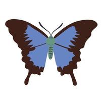 hermosa azul jardín mariposa, bueno para gráfico diseño recursos vector