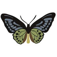 hermosa jardín mariposa, bueno para gráfico diseño recursos vector