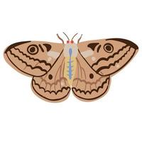 beautiful brown moth, good for graphic design resources vector