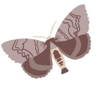 beautiful brown moth, good for graphic design resources vector