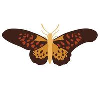 beautiful orange garden butterfly, good for graphic design resources vector