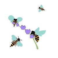 Bees flying around lavender making honey vector