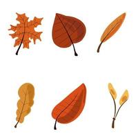 Bright set of autumn leaves Maple tree Oak tree vector