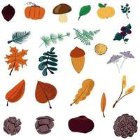 Autumn set of isolated objects leaves harvest and cones vector