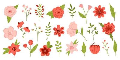 Vector red and pink blossom flowers. Botanical set in flat design. Gorgeous flower collection for bouquet design. Spring and summer various blooming plants.