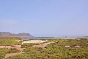 Scenic coastal view photo