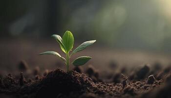 A scene of farming and plant growth is set against a green, blurry backdrop. photo