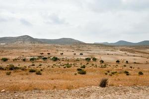 Scenic rural landscape photo